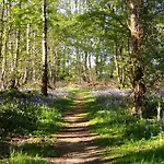 Hollicarrs - Kingfisher Lodge