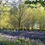 Hollicarrs - Kingfisher Lodge