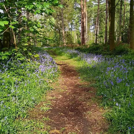 Hollicarrs - Kingfisher York