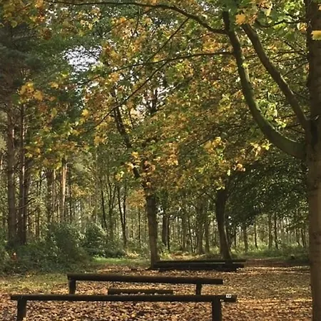 Hollicarrs - Kingfisher Lodge York