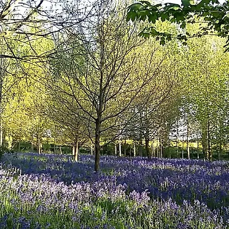 Hollicarrs - Kingfisher Lodge