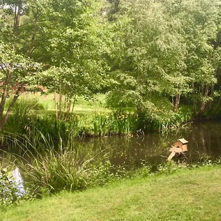 Lodge Hollicarrs - Kingfisher York