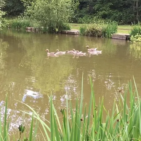 Hollicarrs - Kingfisher Lodge York