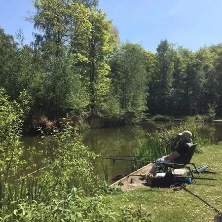 Domek letniskowy Hollicarrs - Kingfisher *