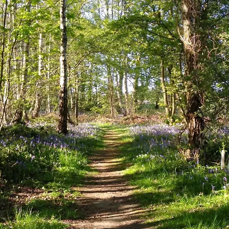 Hollicarrs - Kingfisher Lodge