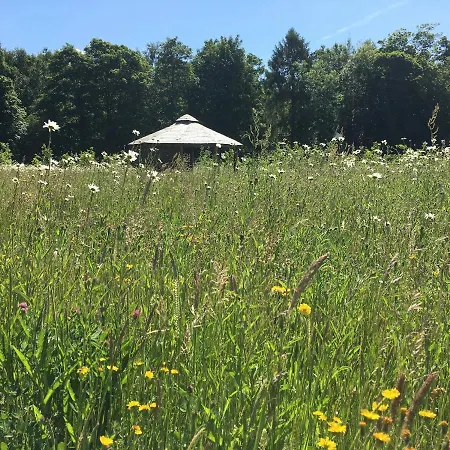 Lodge Hollicarrs - Kingfisher York