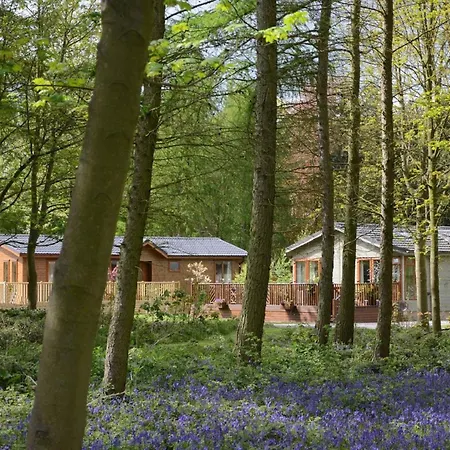 Hollicarrs - Kingfisher